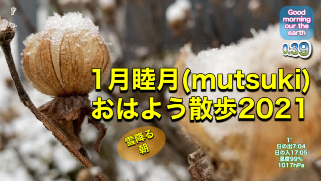 1月睦月(mutsuki)おはよう散歩「雪ふるあさ」2021YouTubeのサムネイル画像