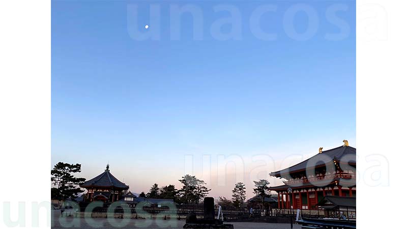奈良、元旦夜明け前の興福寺