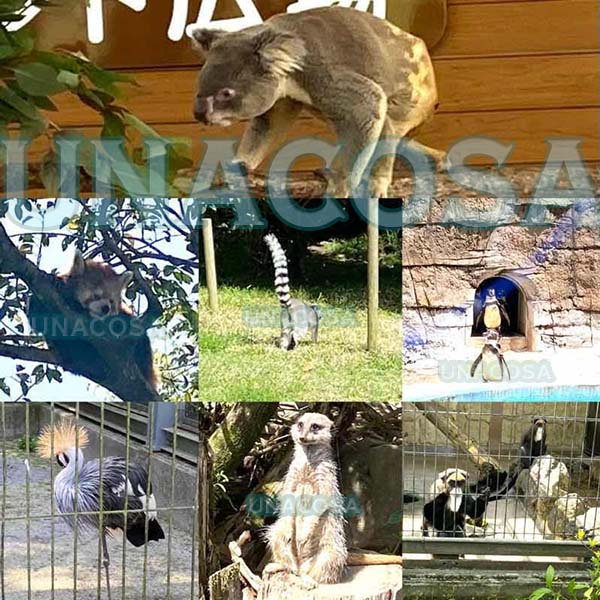 平川動物園公園の動物たち画像