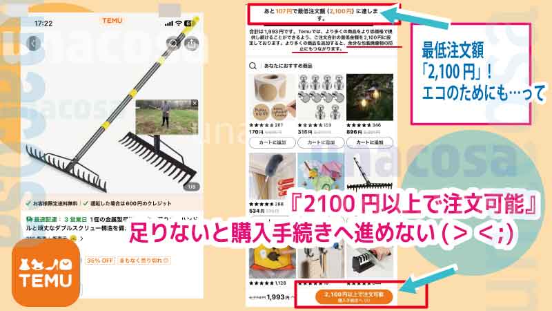 2100円以上購入しないといけなかっtemu画像