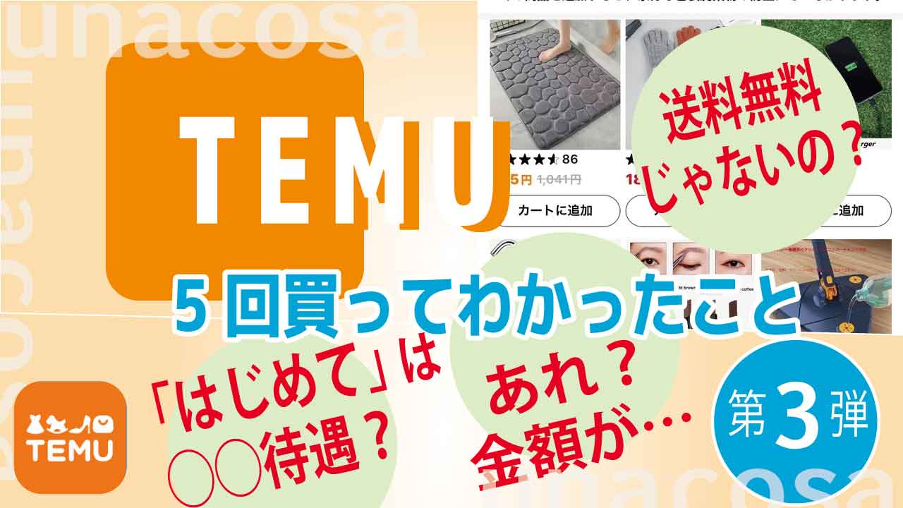 Temu第3弾送料無料じゃないの？イメージ画像