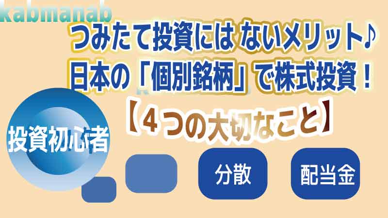 積み立て投資にないメリット個別株投資大切な4つのことイメージ画像