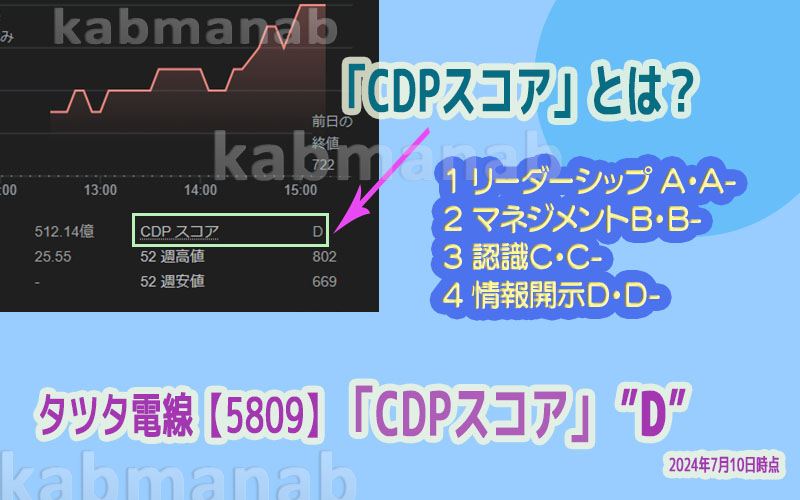 CDPスコアとは？画像