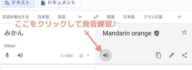 Google翻訳みかん画像