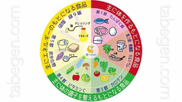 6つの食品群3群円グラフ イメージ画像